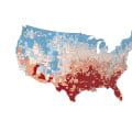 The Power of Diversity and Representation in Democracy: Insights from Southeast Texas