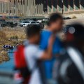 The Impact of Immigration on Democracy in Southeast Texas: An Expert's Perspective