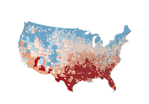 The Power of Diversity and Representation in Democracy: Insights from Southeast Texas