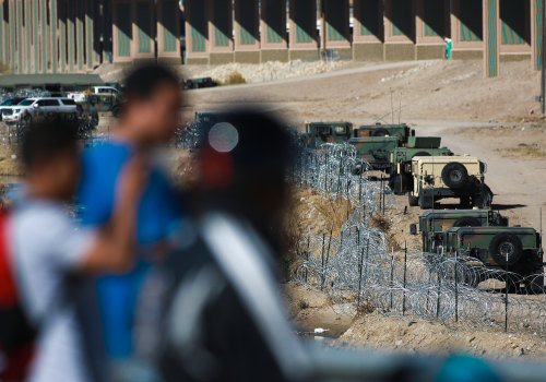 The Impact of Immigration on Democracy in Southeast Texas: An Expert's Perspective